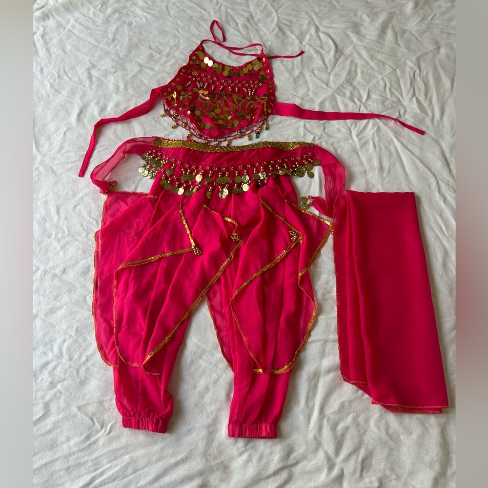Jasmine Aladinn Outfit/Vibrant Pink Girl’s Dance Costume Set